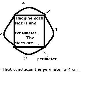 perimeter.JPG