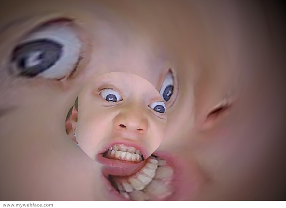 5288384.jpg