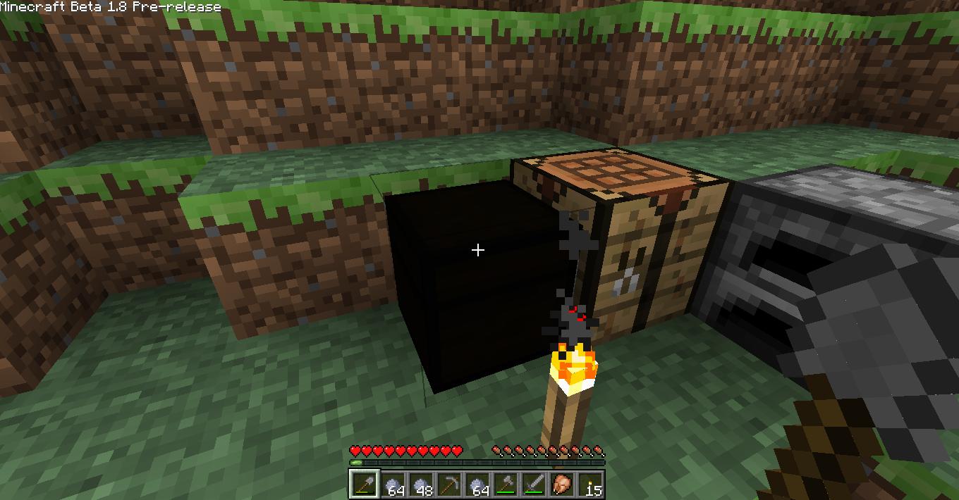 bug.JPG