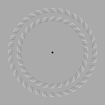 wheel illusion.jpg